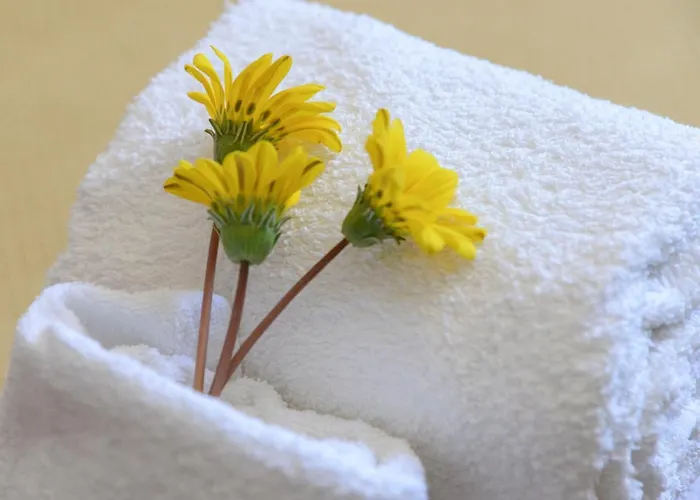 アパート Messapiarooms