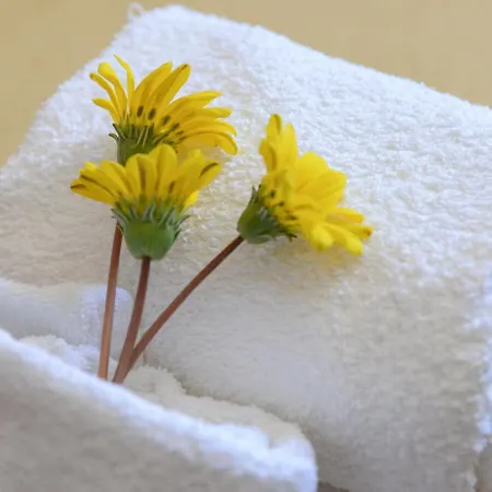 Lejlighed Messapiarooms